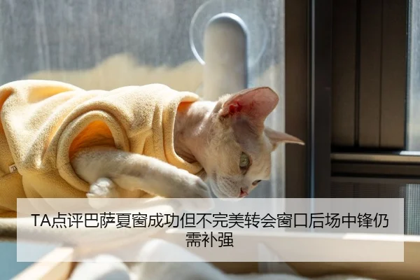 TA点评巴萨夏窗成功但不完美转会窗口后场中锋仍需补强