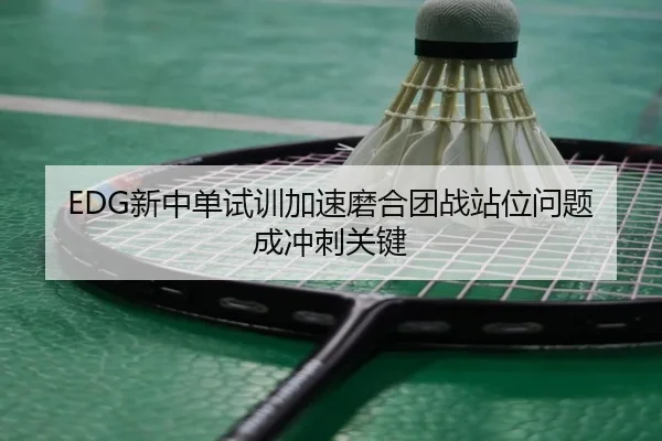 EDG新中单试训加速磨合团战站位问题成冲刺关键